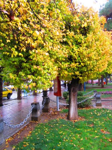 عکس پارک چمران