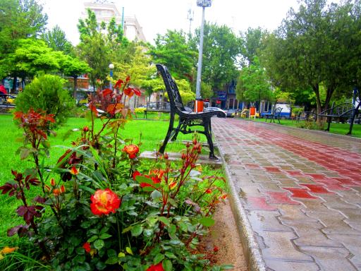 عکس پارک چمران