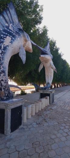 عکس بندر دیر