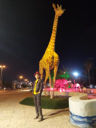 عکس بندر دیر