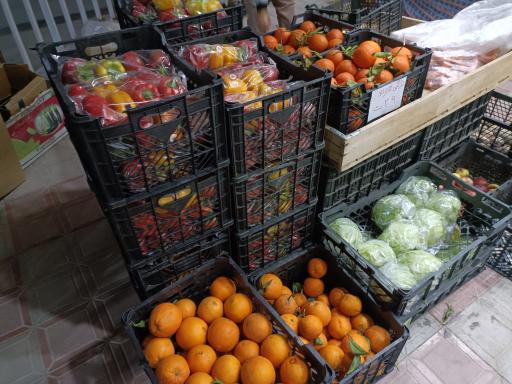 عکس میوه فروشی شرف الدین