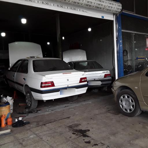 عکس مکانیکی استاد سعید دهقانی