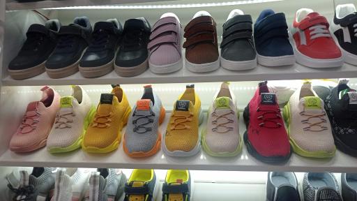 عکس کفش فشکی