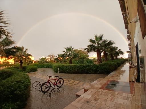 عکس بندر دیر