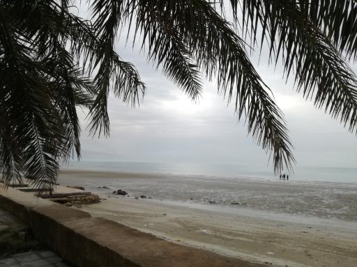 عکس بندر دیر