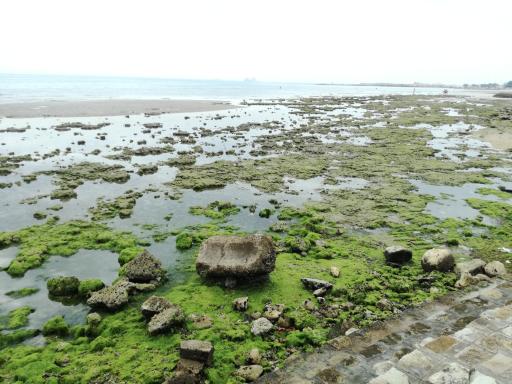 عکس بندر دیر