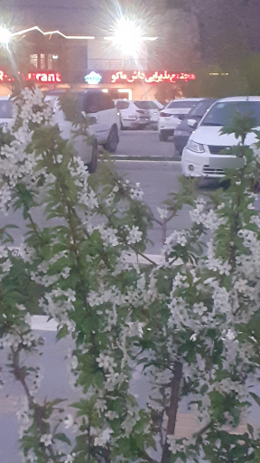 عکس رستوران داش ماکو