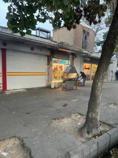 عکس جگرکی ریحان