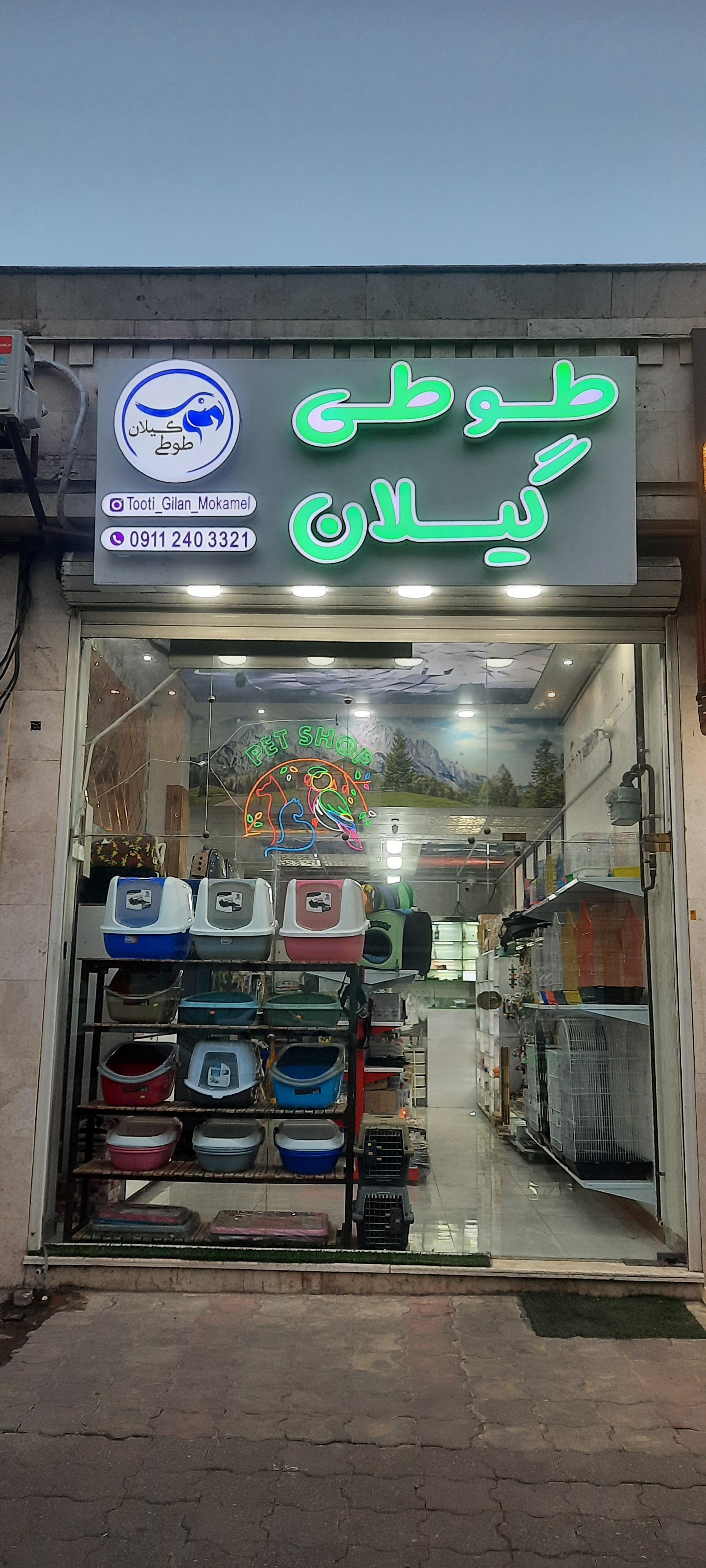 عکس پت شاپ طوطی گیلان