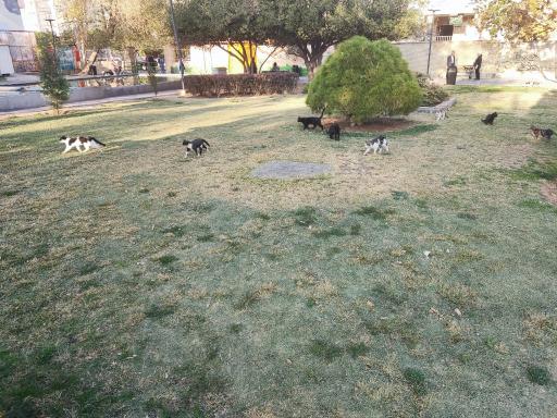 عکس بوستان خلد برین