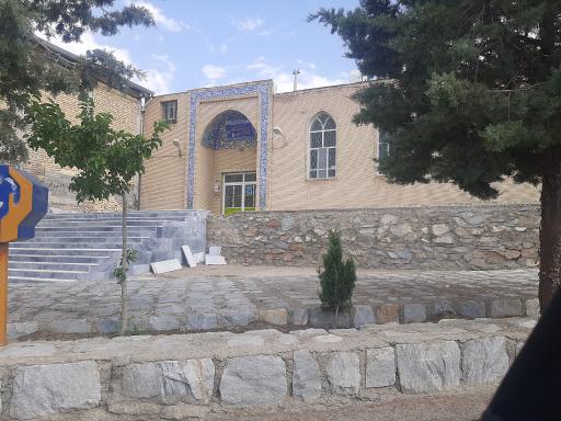 عکس لای بید