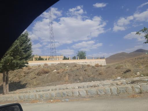 عکس لای بید