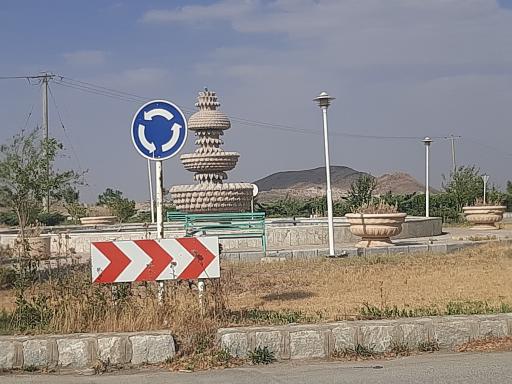 عکس لای بید