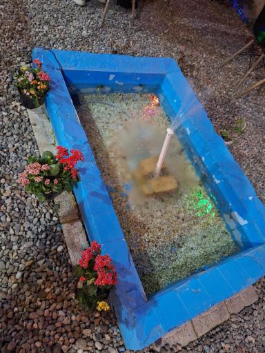 عکس کافه بیتل