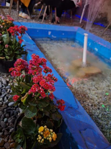 عکس کافه بیتل