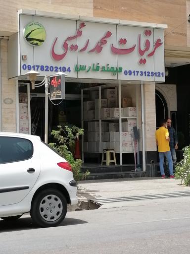 عکس عرقیات محمد رئیسی