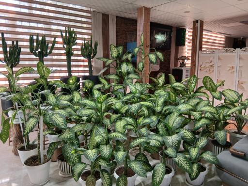 دفتر ازدواج ۱۴ رباط کریم شکوهی