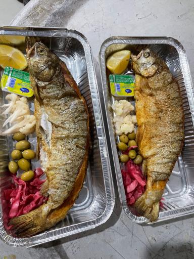 عکس اکبرجوجه نور