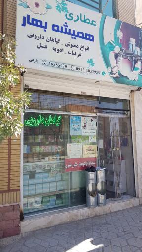 عکس عطاری همیشه بهار