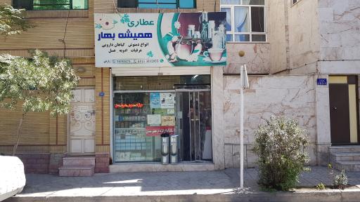 عکس عطاری همیشه بهار