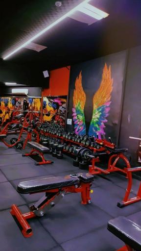 عکس باشگاه بدنسازی فیتنس پلاس 