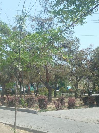 عکس بوستان ایثار