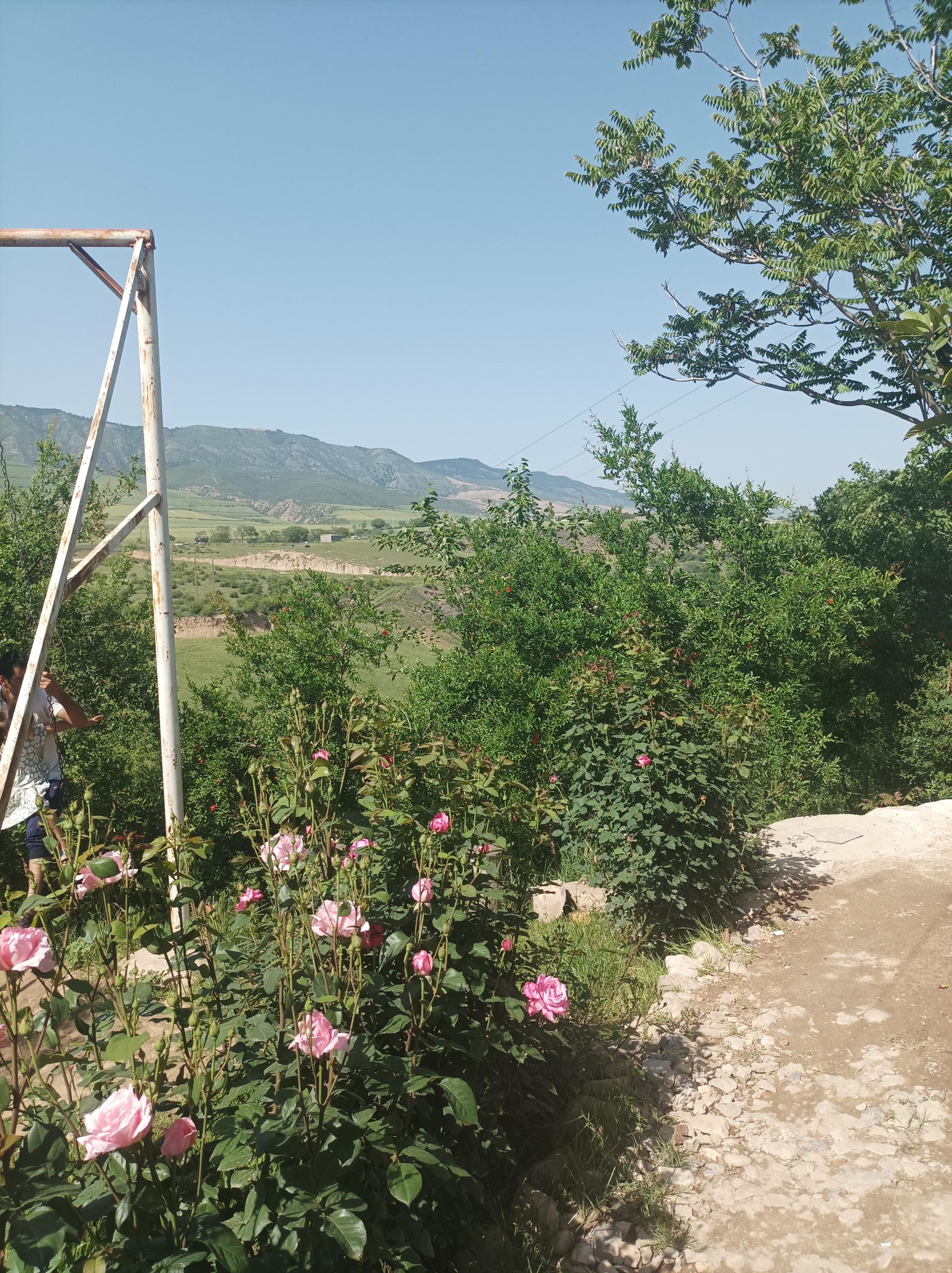 عکس اقامتگاه قودنه