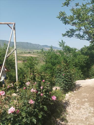 عکس اقامتگاه قودنه