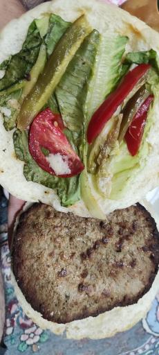 عکس پیتزا ساندویچ کاکتوس 