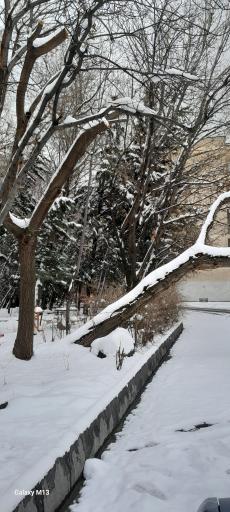 عکس بوستان هفت تیر