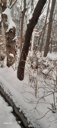 عکس بوستان هفت تیر