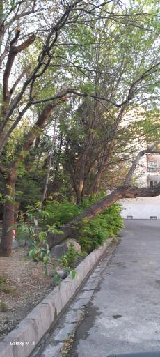 عکس بوستان هفت تیر