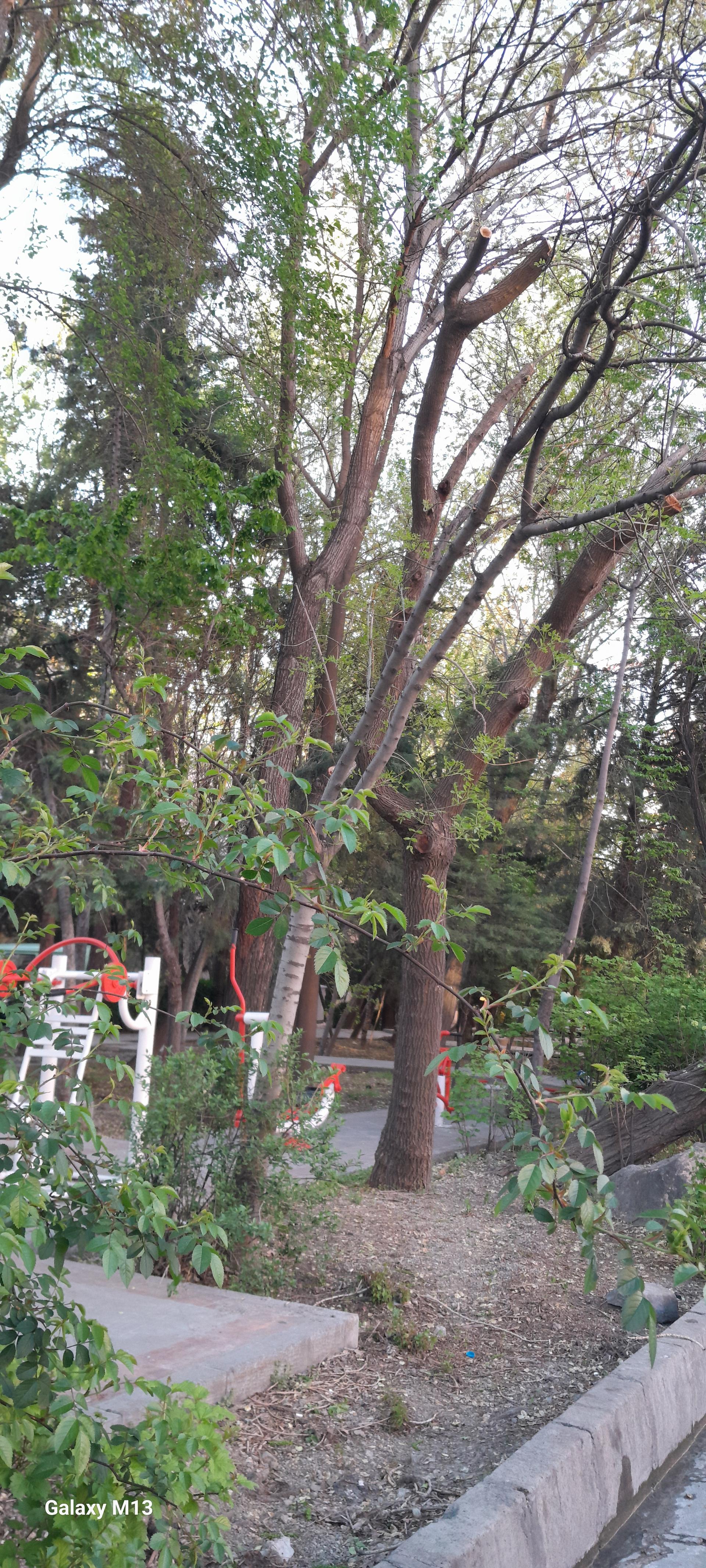 عکس بوستان هفت تیر