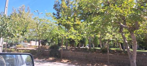 عکس پارک پامچال