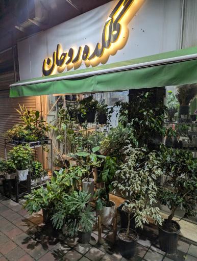 عکس گلکده روحان