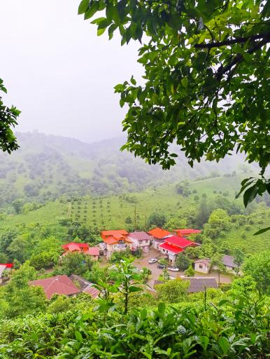 عکس اقامتگاه سالار 