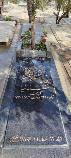 عکس مزار سکینه نیا