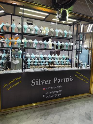 عکس نقره ی پارمیس 