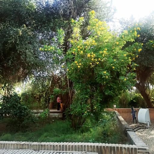 عکس عمارت صمیمی