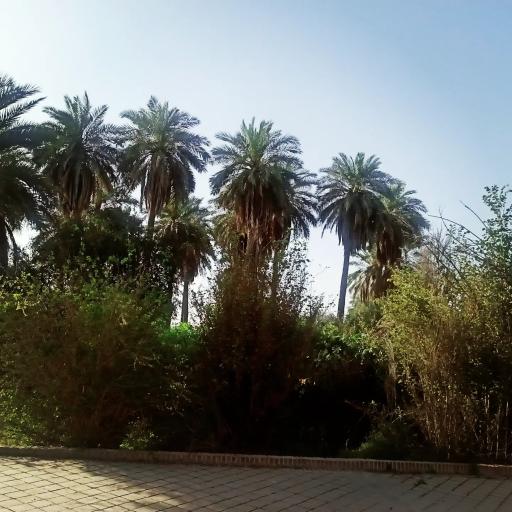 عکس عمارت صمیمی