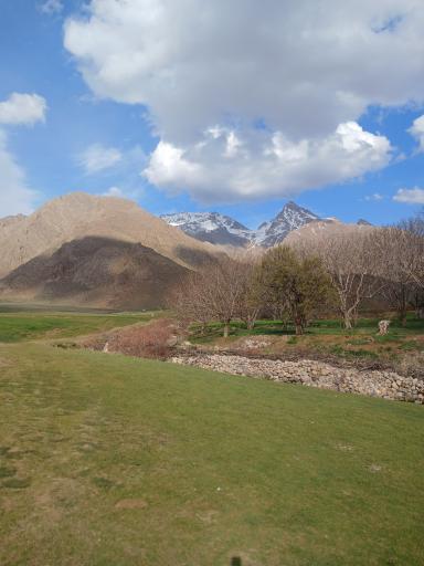 تینمو سفلی