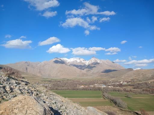 عکس تینمو سفلی