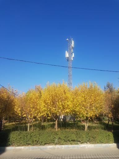 عکس پارک پامچال