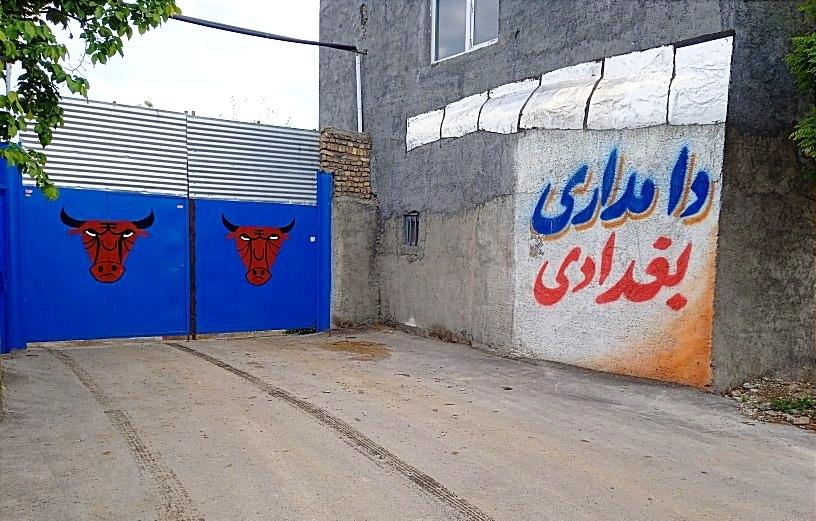 عکس گاوداری بغدادی