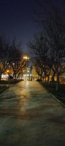 عکس پارک پامچال