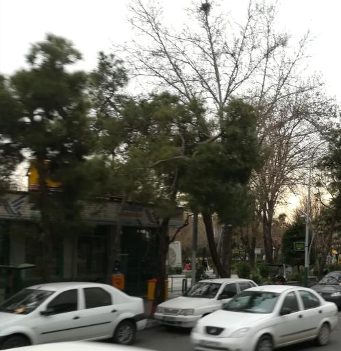 عکس اداره پست لاله(شهدای غزه)