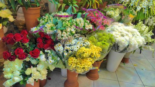 عکس گل فروشی گلستان نور