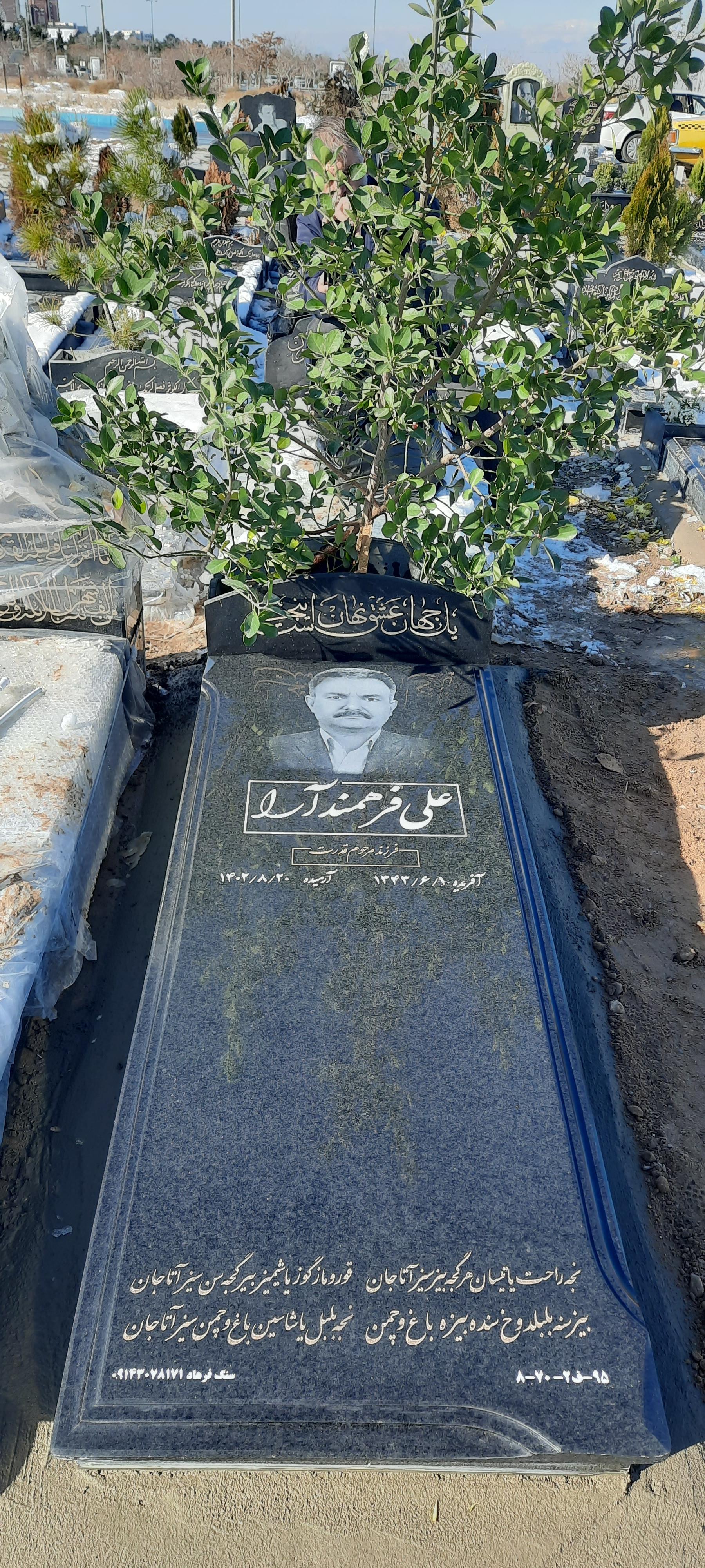 عکس مزار علی فرهمندآرا