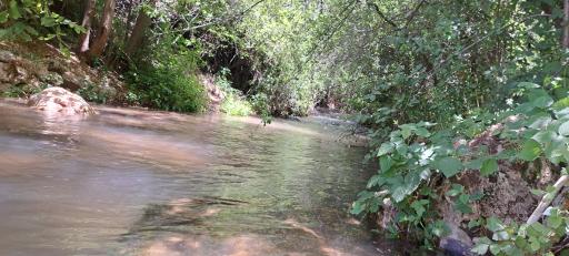 عکس اقامتگاه گردشگری و سوئیت پاوه روستای نسمه