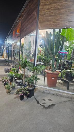 عکس بازار گل شادمان